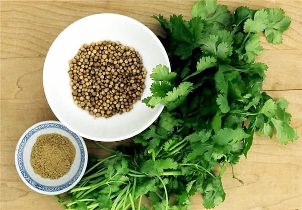تصویر 3 از فروش تخم گشنیز سبز + قیمت خرید به صرفه